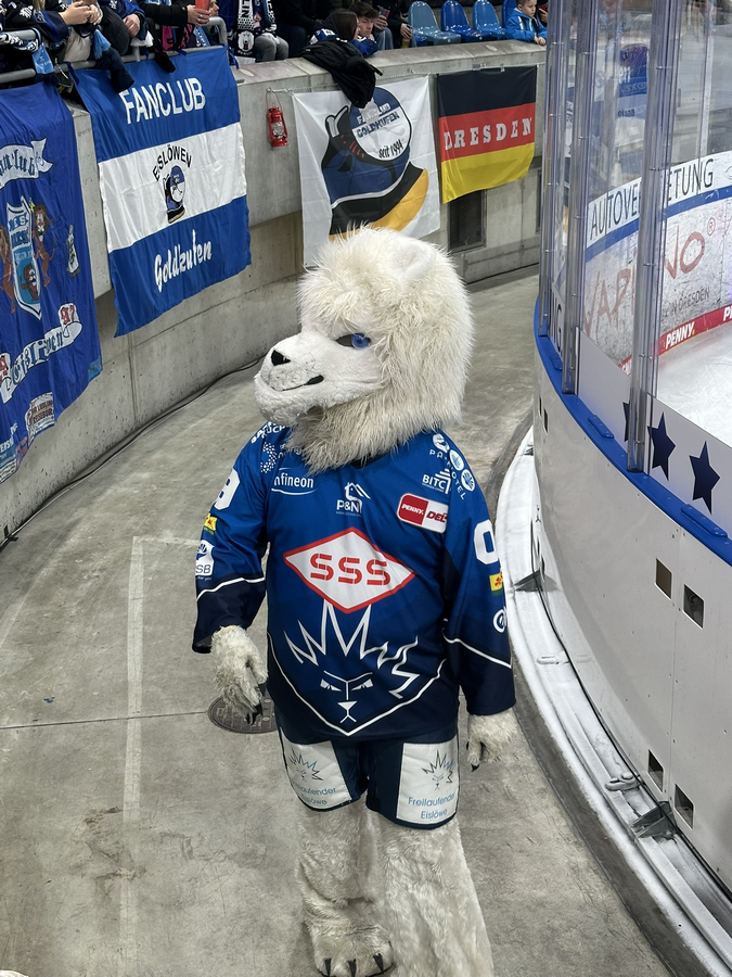 PENNY DEL / 38.Spieltag / Dresdner Eislöwen - SERC Wild Wings