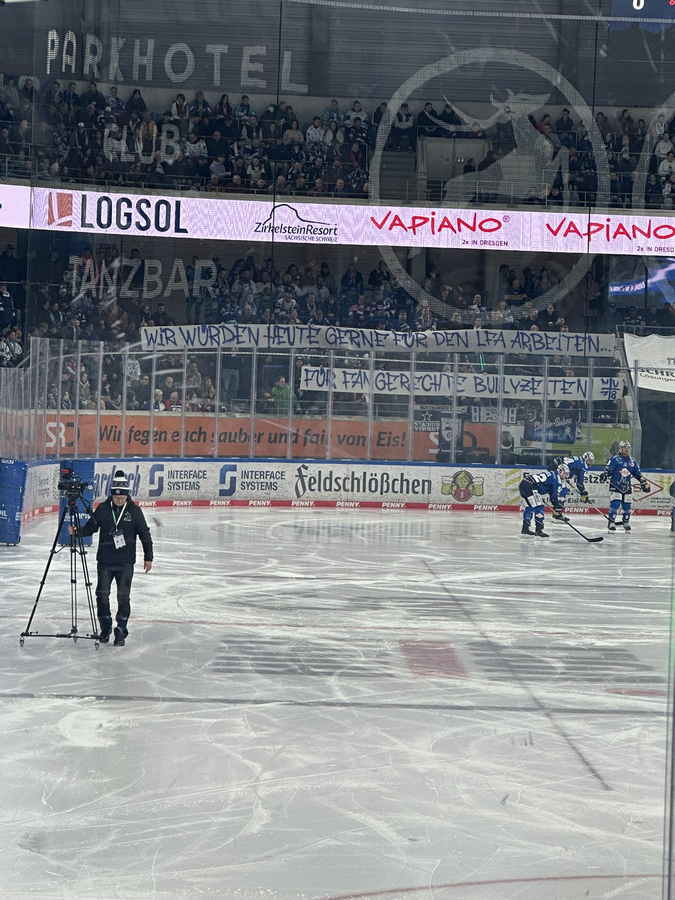 PENNY DEL / 38.Spieltag / Dresdner Eislöwen - SERC Wild Wings