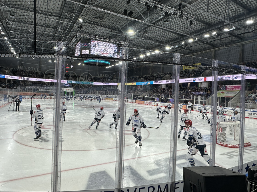 PENNY DEL / 38.Spieltag / Dresdner Eislöwen - SERC Wild Wings