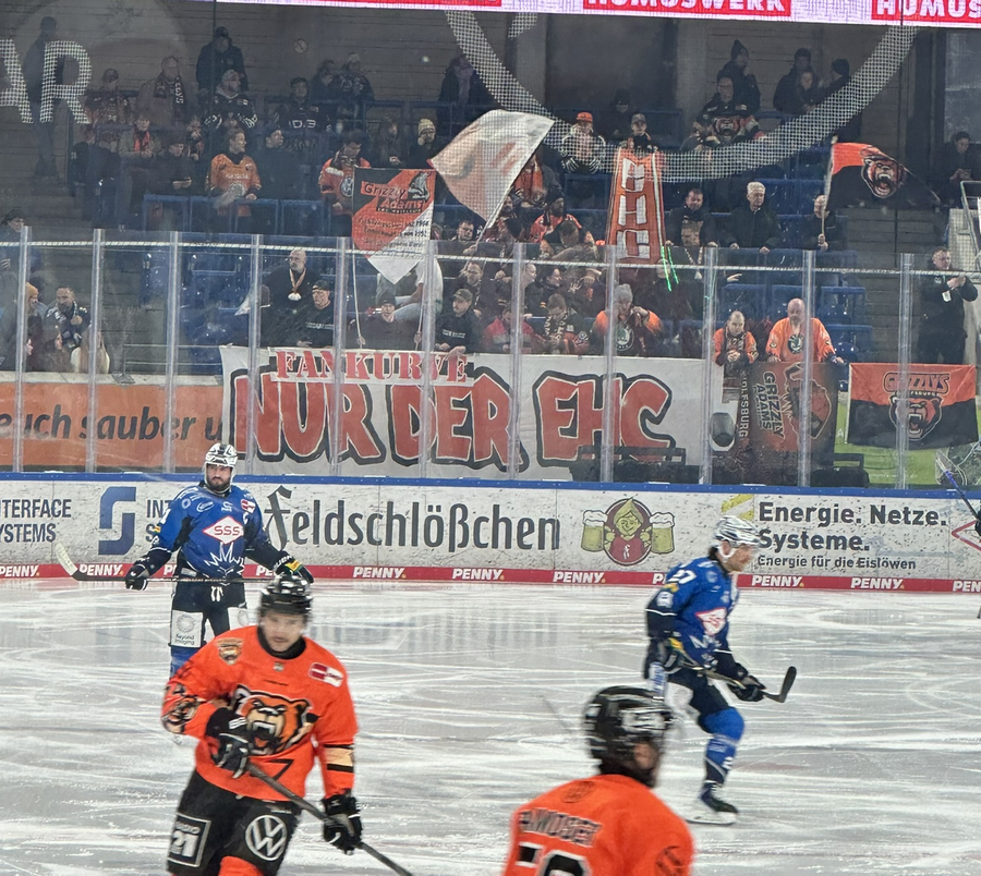 PENNY DEL / 21.Spieltag / Dresdner Eislöwen - Grizzlys Wolfsburg