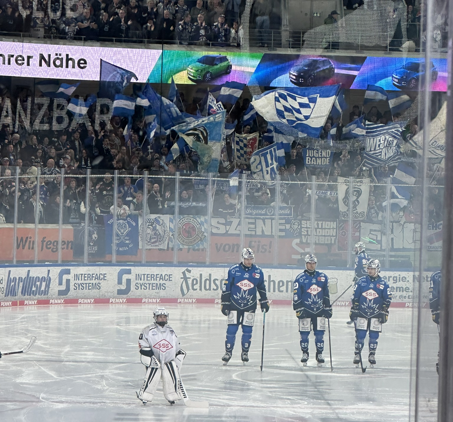 PENNY DEL / 13.Spieltag / Dresdner Eislöwen - Straubing Tigers