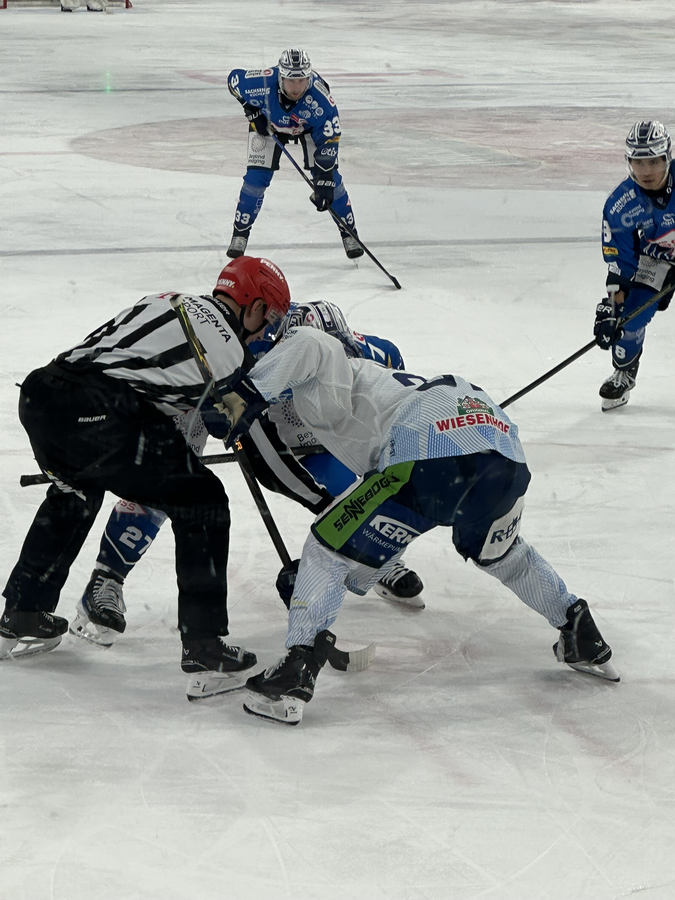 PENNY DEL / 13.Spieltag / Dresdner Eislöwen - Straubing Tigers