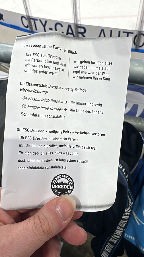 PENNY DEL / 15.Spieltag / Dresdner Eislöwen - Nürnberg Ice Tigers