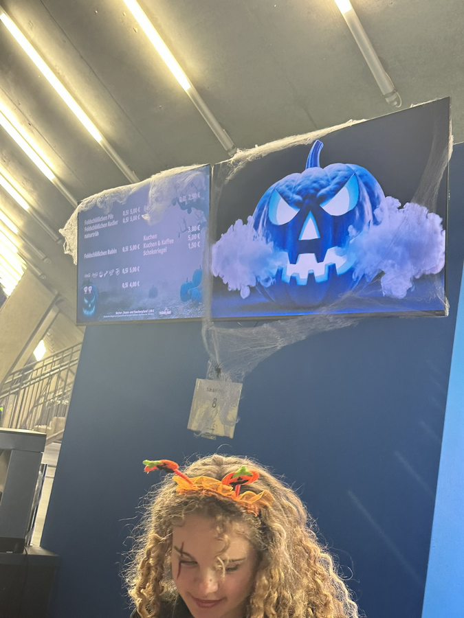 PENNY DEL / 16.Spieltag / Dresdner Eislöwen - Löwen Frankfurt