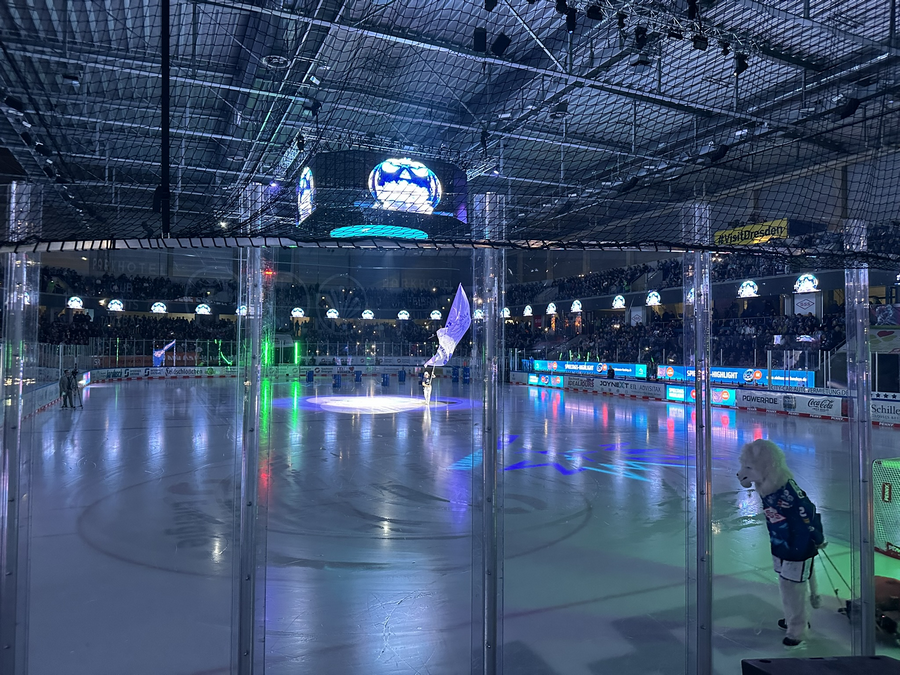 PENNY DEL / 16.Spieltag / Dresdner Eislöwen - Löwen Frankfurt