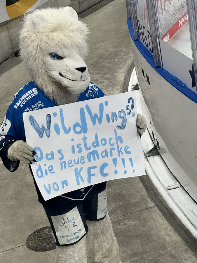 PENNY DEL / 18.Spieltag | Dresdner Eislöwen - SERC Wild Wings