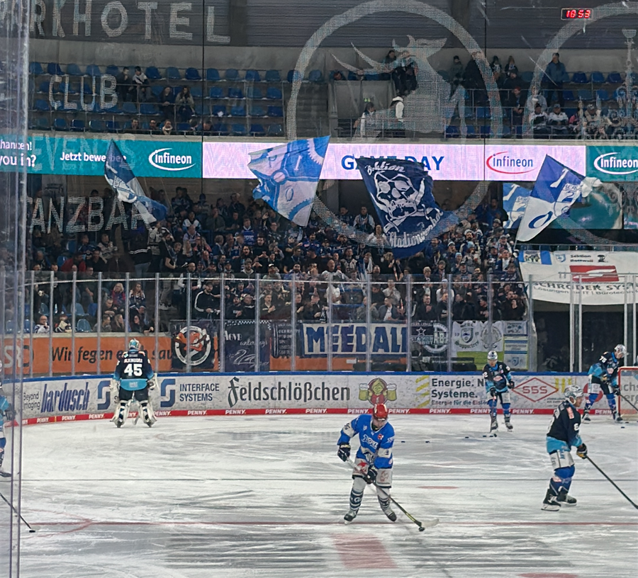 PENNY DEL / 18.Spieltag | Dresdner Eislöwen - SERC Wild Wings