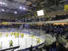 DEL2 / 12.Spieltag / Dresdner Eislöwen - Krefeld Pinguine