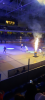 DEL2 / 23.Spieltag / Dresdner Eislöwen - Eisbären Regensburg