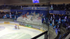 DEL2 / 29.Spieltag / Dresdner Eislöwen - Ravensburg Towerstars